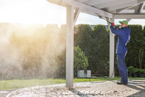 Best Animal Enclosure Cleaning  in Kincheloe, MI